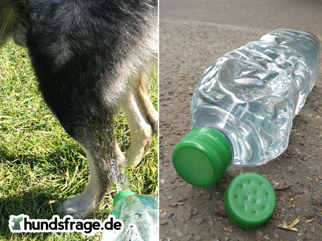 PET Flasche Dusche